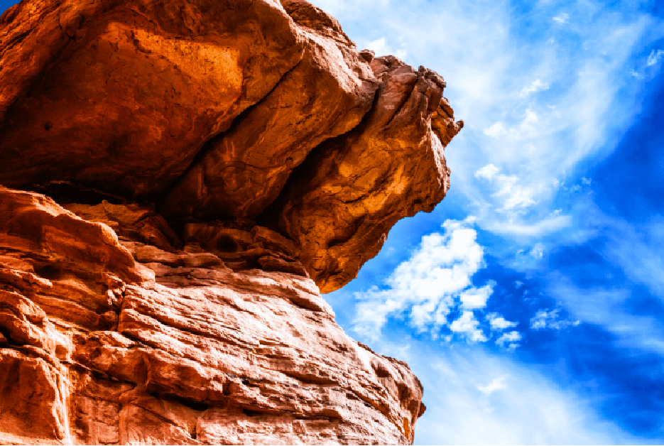 Blog Your Niche | Authentic Blogs Blog Your Niche - Honest Reviews